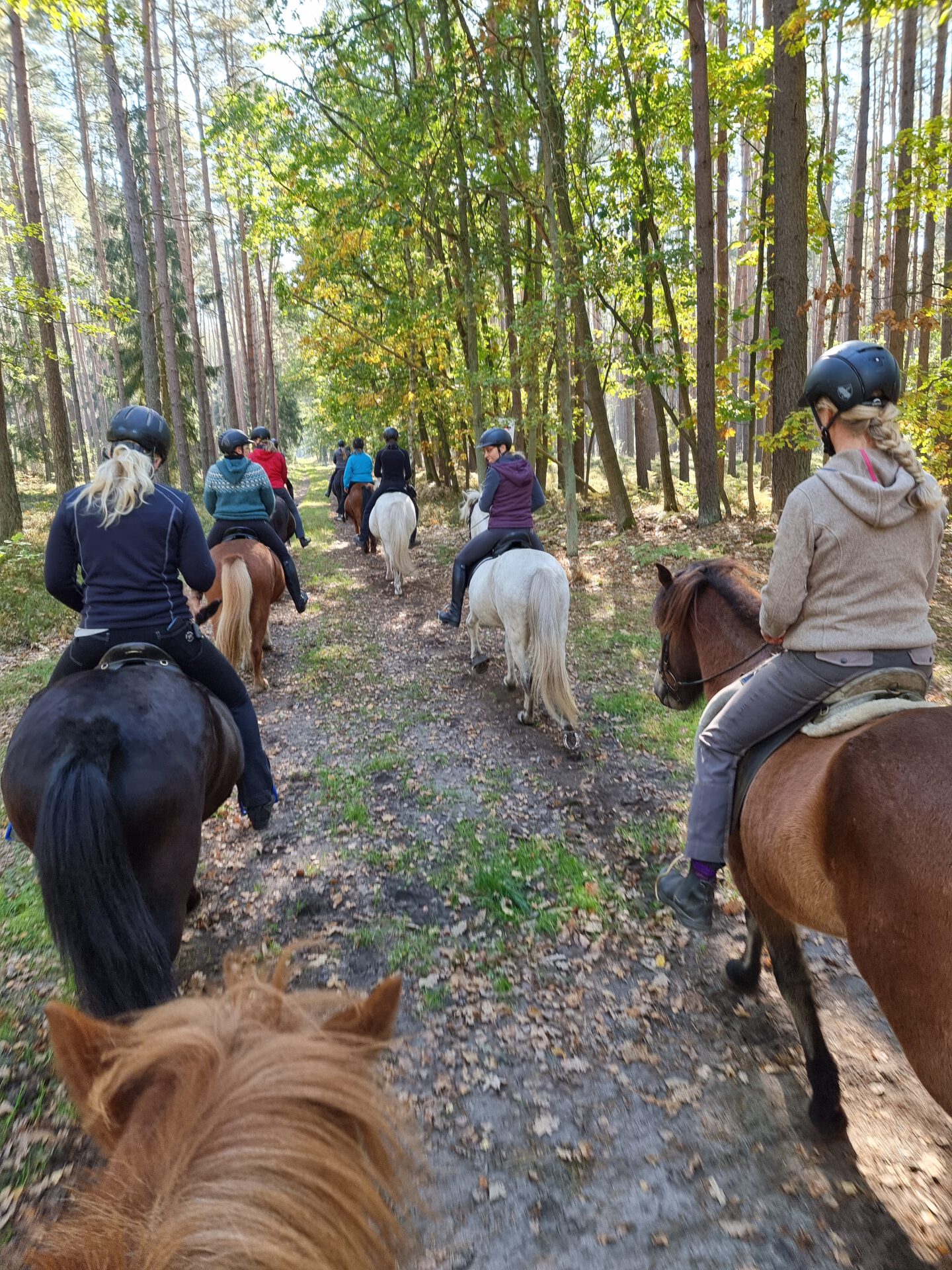 BIF-Spargelritt nach Körzin am Samstag 25.04.26