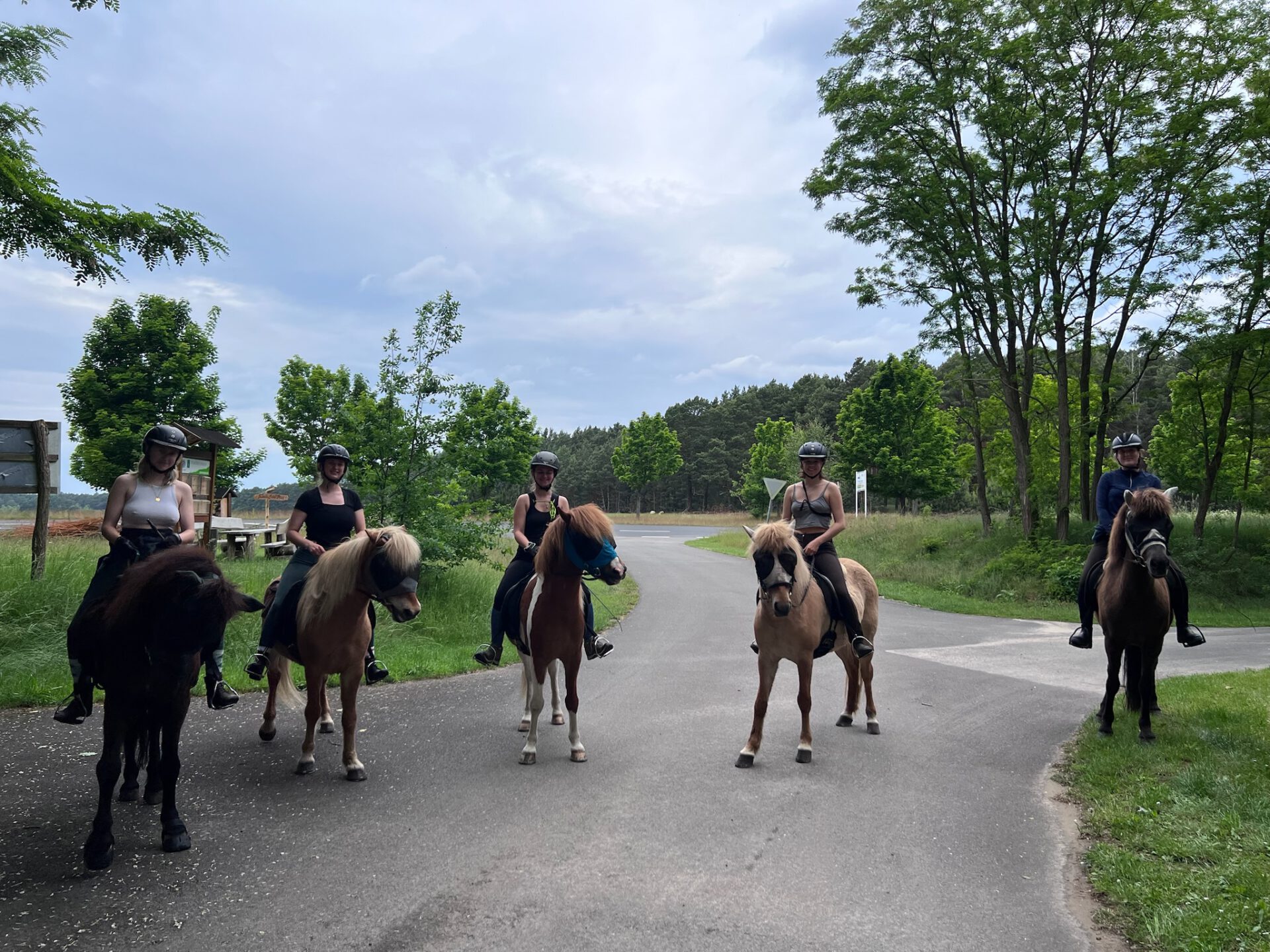 BIF- Der Junge Wanderritt 2026 „Hoher Fläming“