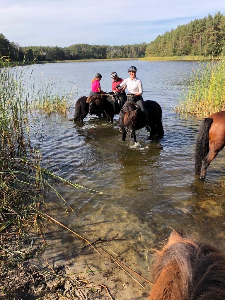 BIF-Wanderritt Feldberger Seenplatte – Stechlin – Rheinsberg (WRC Wertung auf Wunsch) 27.06.-04.07.2026