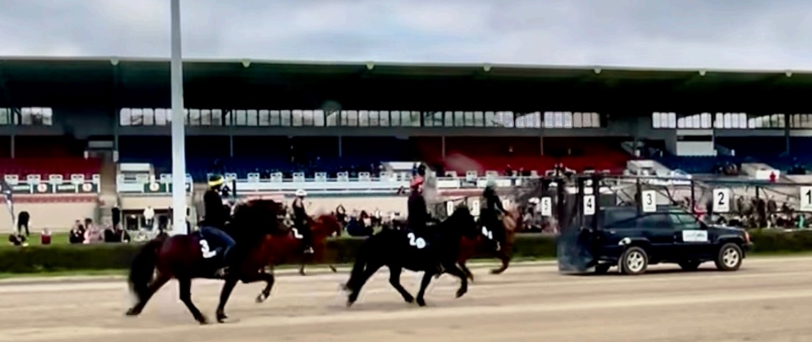 Islandpferderennen auf der Trabrennbahn Karlshorst 01. Mai